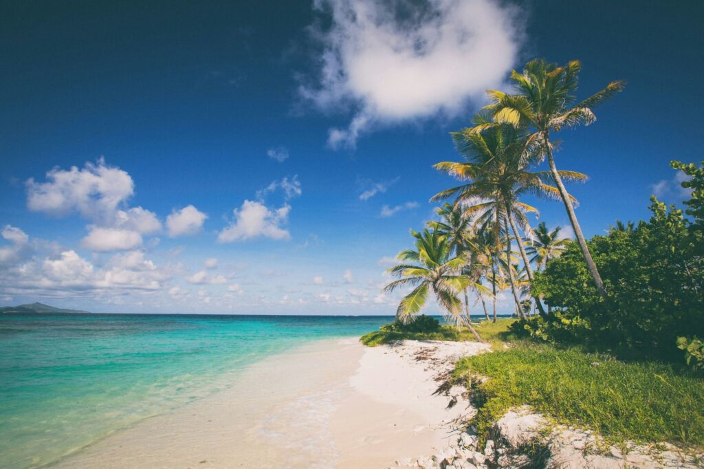 Playa del Caribe con palmeras y mar turquesa bajo un cielo azul