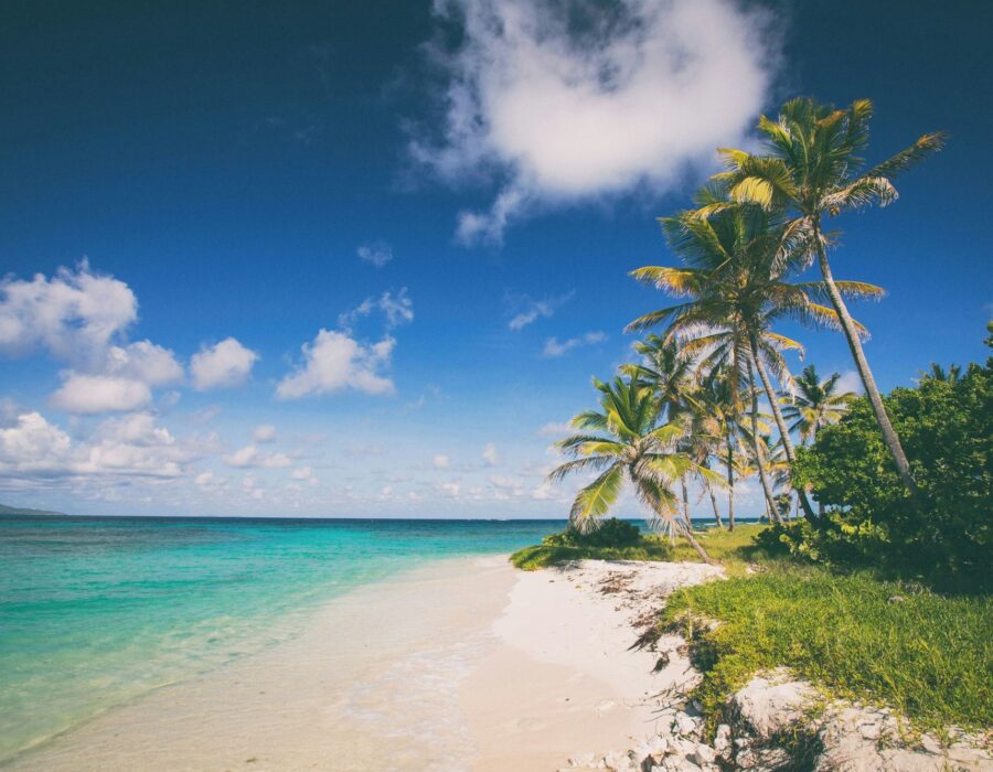 Playa del Caribe con palmeras y mar turquesa bajo un cielo azul